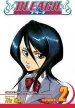Audiobook Bleach, Vol. 2 author Tite Kubo