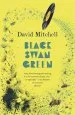 Audiobook Black Swan Green author David Mitchell