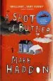 Audiobook A Spot of Bother author Mark Haddon