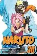 Audiobook Naruto, Vol. 30 author Masashi Kishimoto