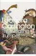 Audiobook The Hearing Trumpet author Leonora Carrington
