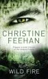 Audiobook Wild Fire: Number 4 in Series author Christine Feehan
