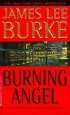 Audiobook Burning Angel author James Lee Burke
