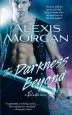 Audiobook The Darkness Beyond: A Paladin Novel author Alexis Morgan