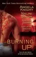 Audiobook Burning up author Meljean Brook