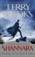 Audiobook Bearers of the Black Staff author Terry Brooks