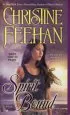 Audiobook Spirit Bound author Christine Feehan