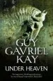 Audiobook Under Heaven author Guy Gavriel Kay