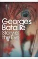Audiobook Story of the eye author Georges Bataille