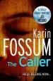 Audiobook The Caller author Karin Fossum
