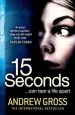 Audiobook 15 Seconds author Andrew Gross
