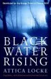 Audiobook Black Water Rising author Attica Locke