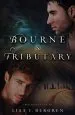 Audiobook Bourne & Tributary author Lisa T Bergren