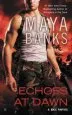 Audiobook Echoes at Dawn: A kgi Novel author Maya Banks