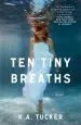 Audiobook Ten Tiny Breaths: A Novel author K. A. Tucker