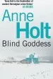 Audiobook Blind Goddess author Anne Holt