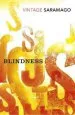 Audiobook Blindness author Jose Saramago