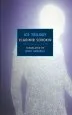 Audiobook Ice Trilogy author Vladimir Sorokin