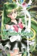 Audiobook Sailor Moon Vol. 9 author Naoko Takeuchi
