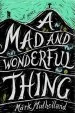 Audiobook A mad and Wonderful Thing author Mark Mulholland