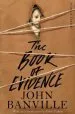 Audiobook The Book of Evidence author John Banville