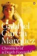 Audiobook Chronicle of a Death Foretold author Gabriel Garcia Marquez