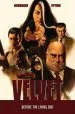 Audiobook Velvet Volume 1 author Ed Brubaker