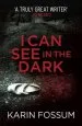 Audiobook I can see in the Dark author Karin Fossum