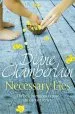 Audiobook Necessary Lies author Diane Chamberlain