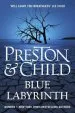 Audiobook Blue Labyrinth author Lincoln Child