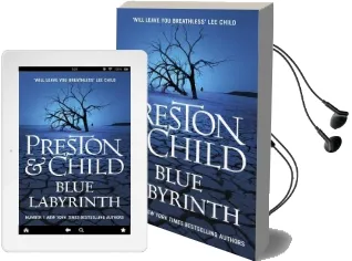 Blue Labyrinth Audiobook download free by Lincoln Child