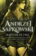 Audiobook Baptism of Fire author Andrzej Sapkowski