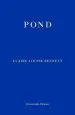 Audiobook Pond author Claire Louise Bennett