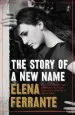 Audiobook The Story of a new Name: The Neapolitan Novels, Book two author Elena Ferrante