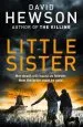 Audiobook Little Sister author David Hewson