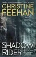 Audiobook Shadow Rider author Christine Feehan