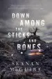 Audiobook Down Among the Sticks and Bones author Seanan Mcguire