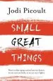 Audiobook Small Great Things: The Bestselling Novel you Won'T Want to Miss author Jodi Picoult