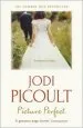 Audiobook Picture Perfect author Jodi Picoult