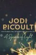 Audiobook A Spark of Light author Jodi Picoult