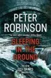 Audiobook Sleeping in the Ground: Dci Banks 24 author Peter Robinson