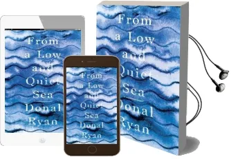 From a low and Quiet sea Audiobook download free by Donal Ryan