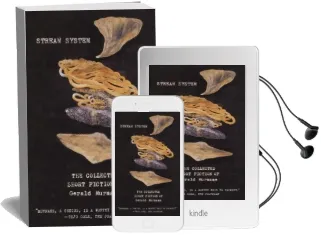 Stream System: The Collected Short Fiction of Gerald Murnane Audiobook download free by Gerald Murnane