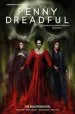 Audiobook Penny Dreadful - the Ongoing Series Volume 2: The Beauteous Evil author Chris King