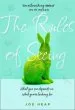 Audiobook The Rules of Seeing author Joe Heap
