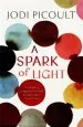 Audiobook A Spark of Light: From the Author Everyone Should be Reading author Jodi Picoult